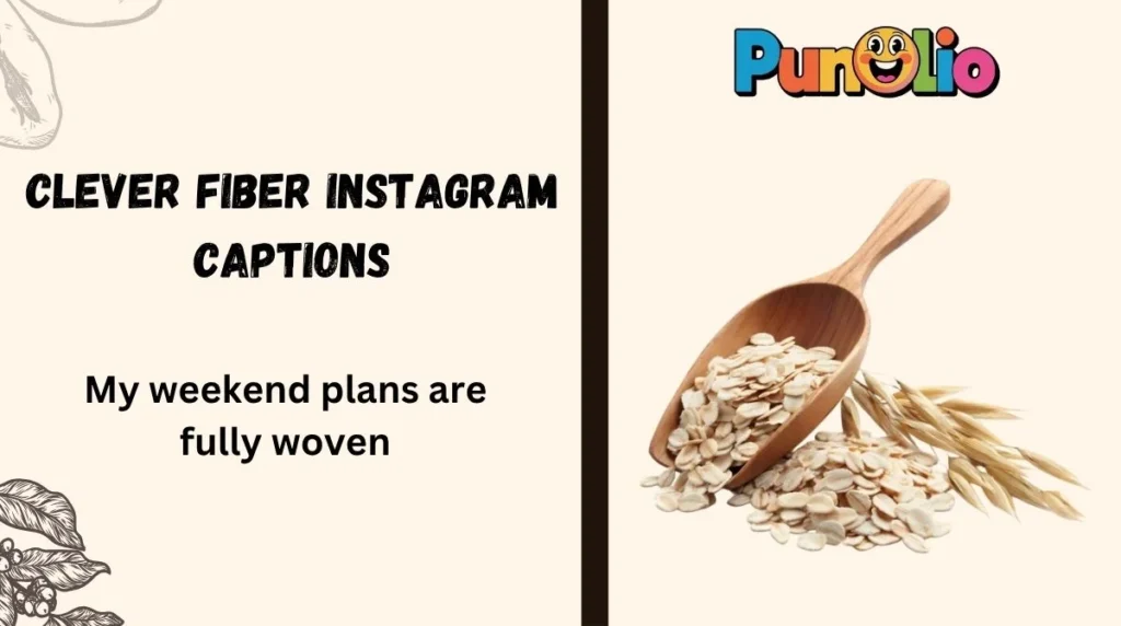 Clever Fiber Instagram Captions