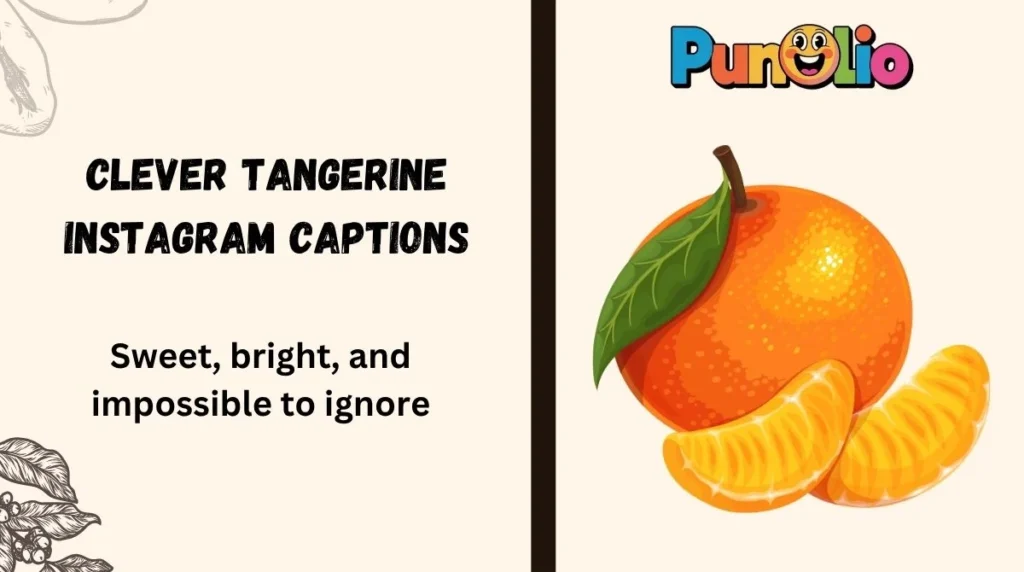 Clever Tangerine Instagram Captions