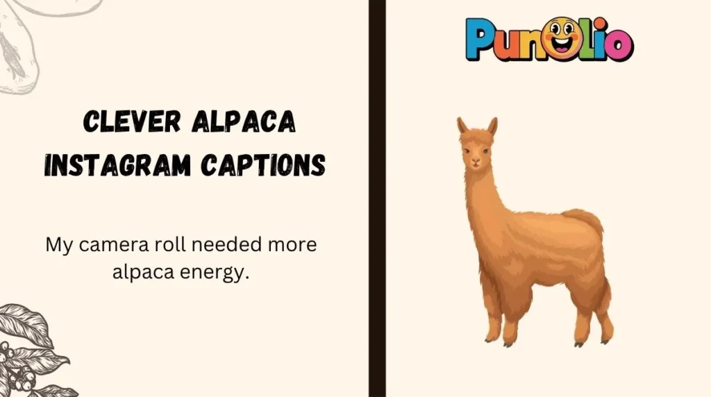  Clever Alpaca Instagram Captions