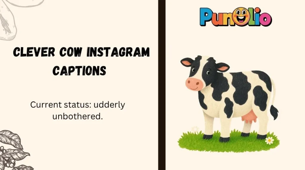 Clever Cow Instagram Captions