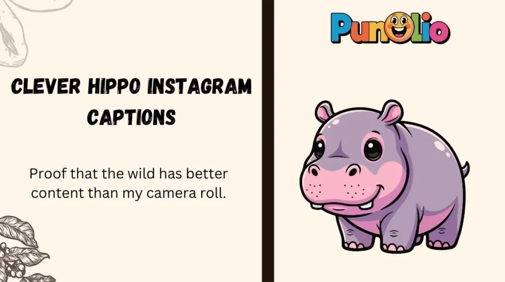 Clever Hippo Instagram Captions