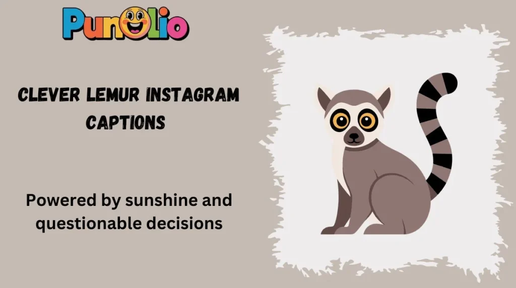 Clever Lemur Instagram Captions