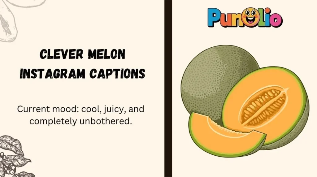 Clever Melon Instagram Captions