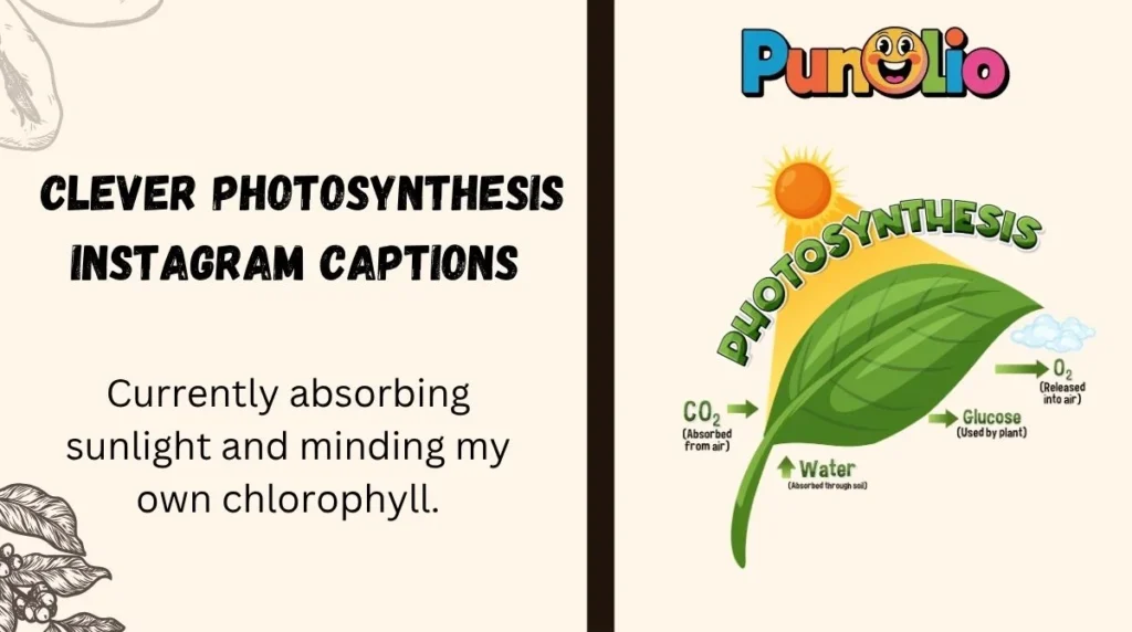 Clever Photosynthesis Instagram Captions