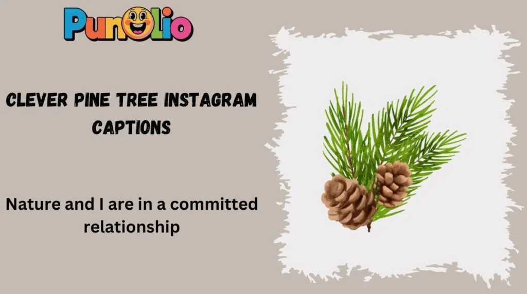 Clever Pine Tree Instagram Captions