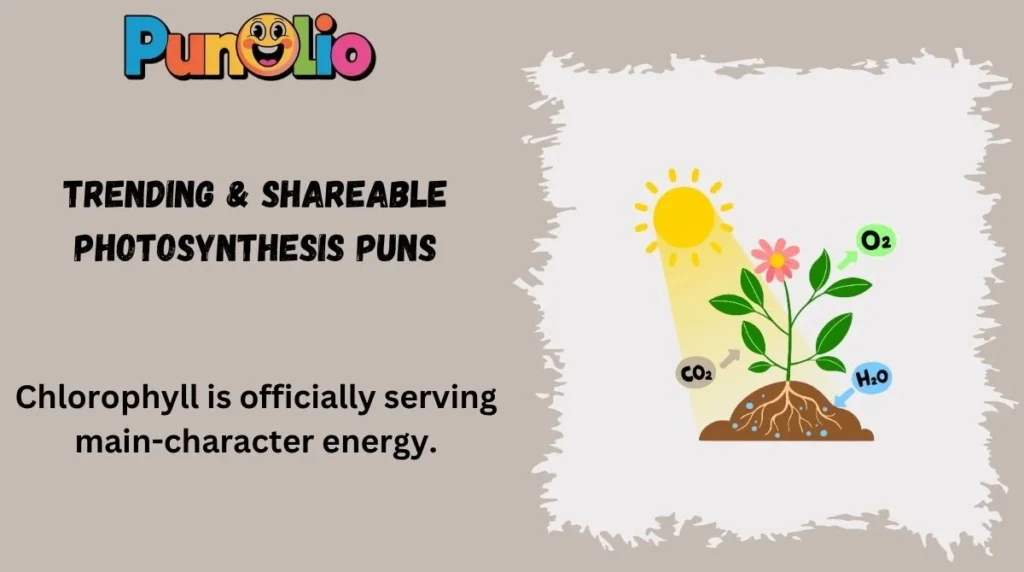 Trending & Shareable Photosynthesis Puns