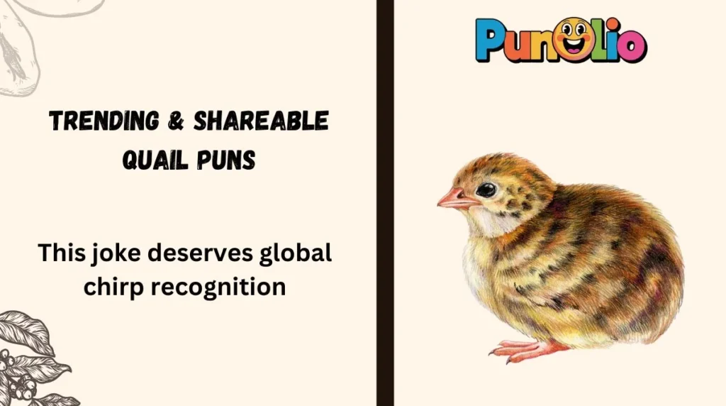Trending & Shareable Quail Puns
