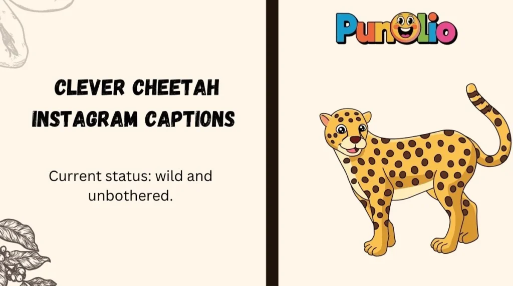 Clever Cheetah Instagram Captions