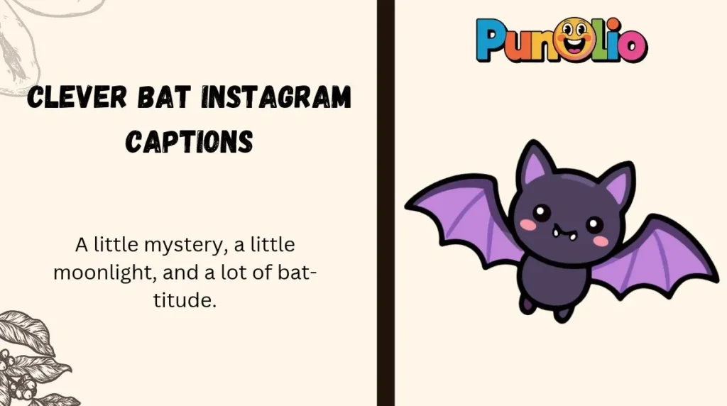 Clever Bat Instagram Captions