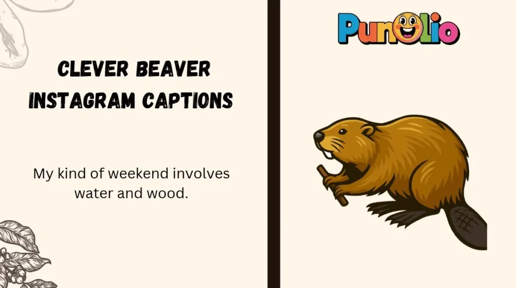Clever Beaver Instagram Captions