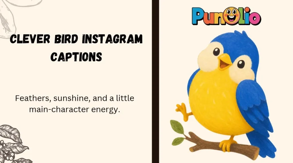 Clever Bird Instagram Captions