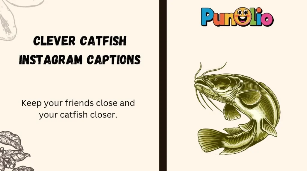 Clever Catfish Instagram Captions