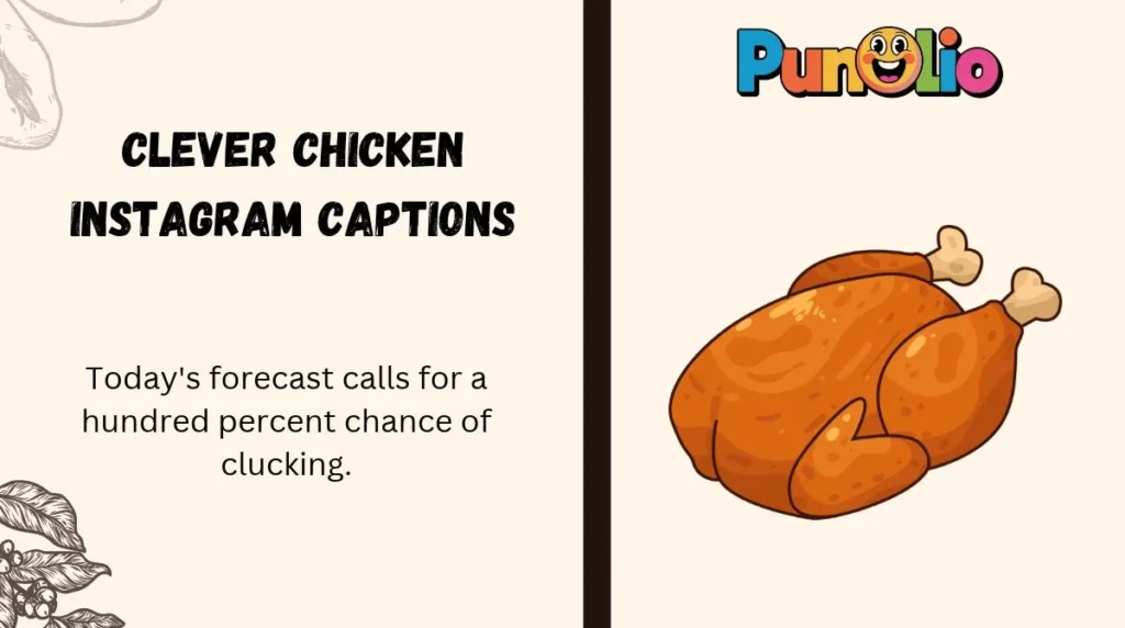 Clever Chicken Instagram Captions