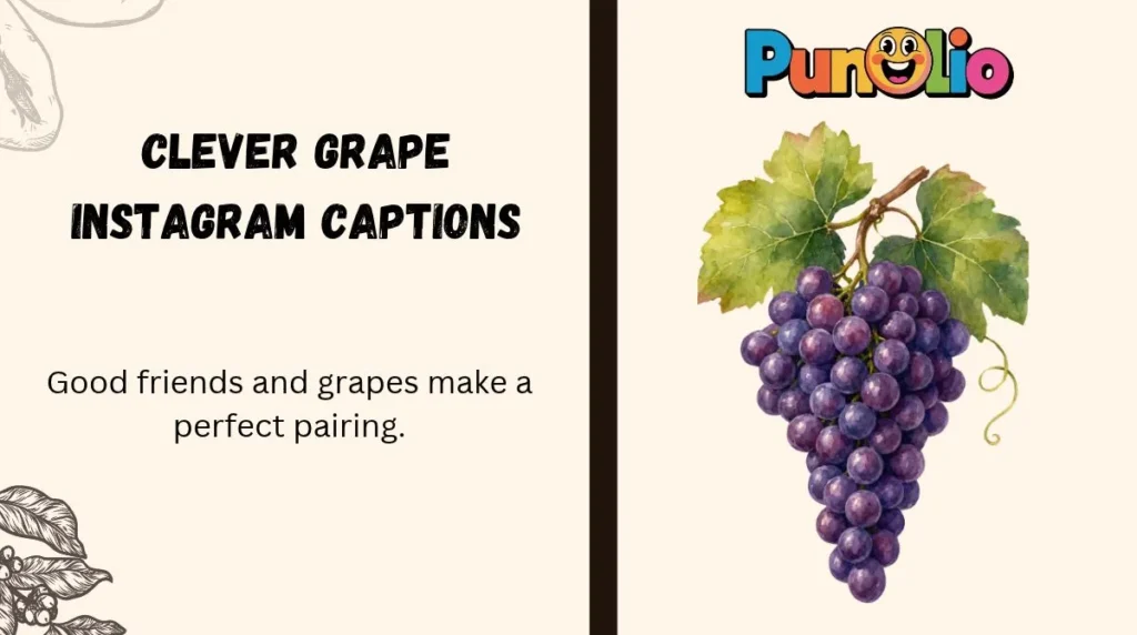Clever Grape Instagram Captions