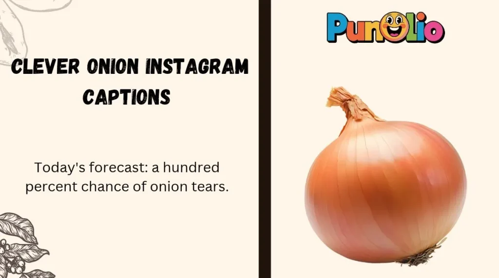 Clever Onion Instagram Captions
