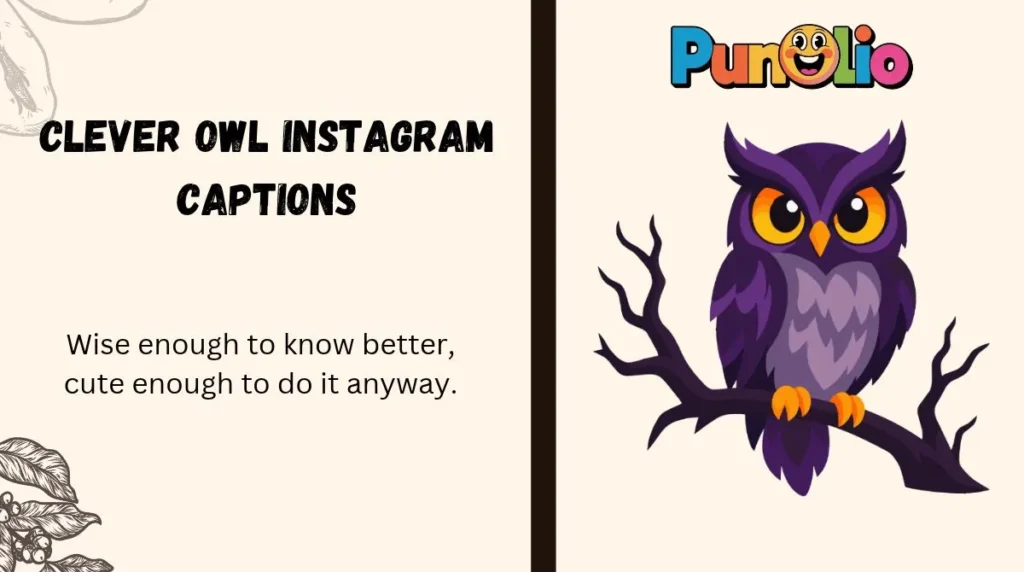 Clever Owl Instagram Captions