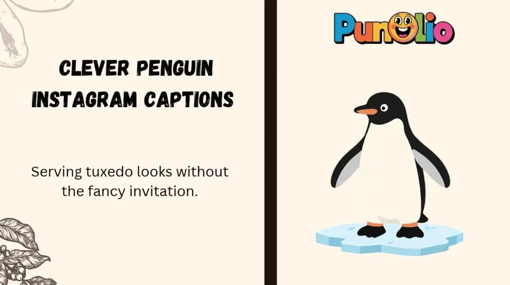 Clever Penguin Instagram Captions