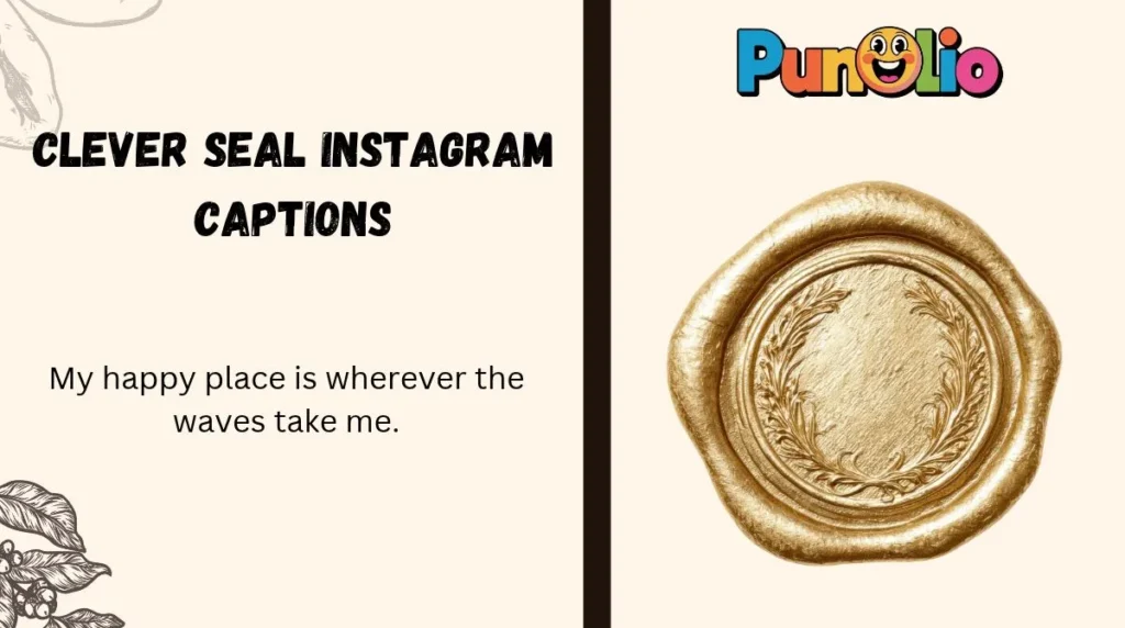 Clever Seal Instagram Captions