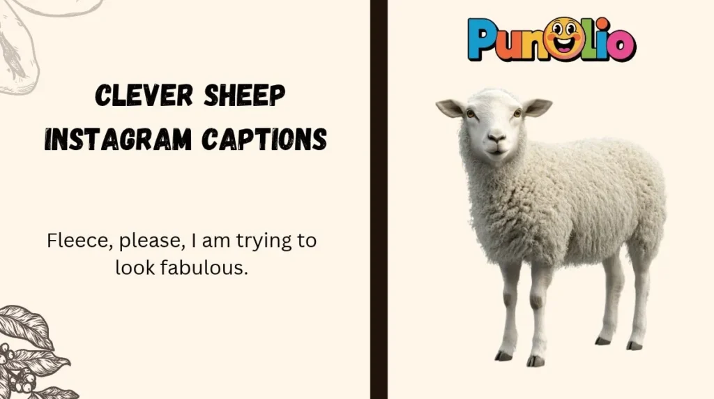 Clever Sheep Instagram Captions