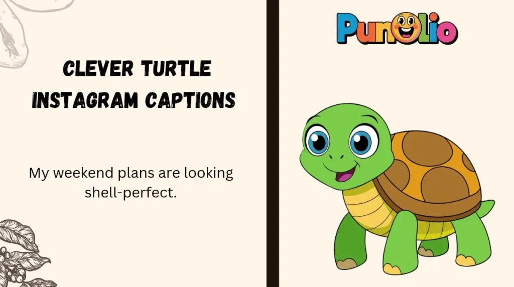 Clever Turtle Instagram Captions