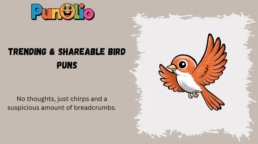 Trending & Shareable Bird Puns