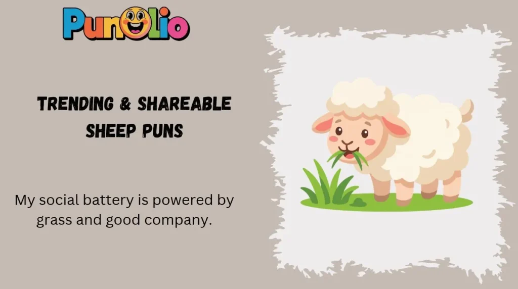 Trending & Shareable Sheep Puns