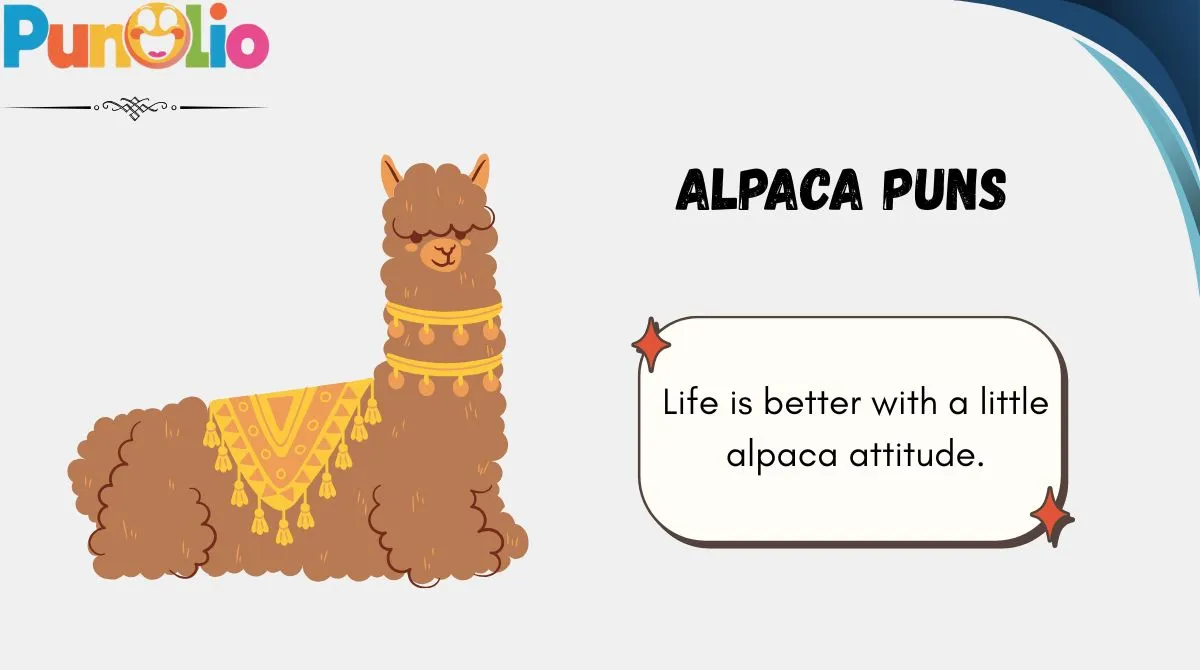 Alpaca Puns