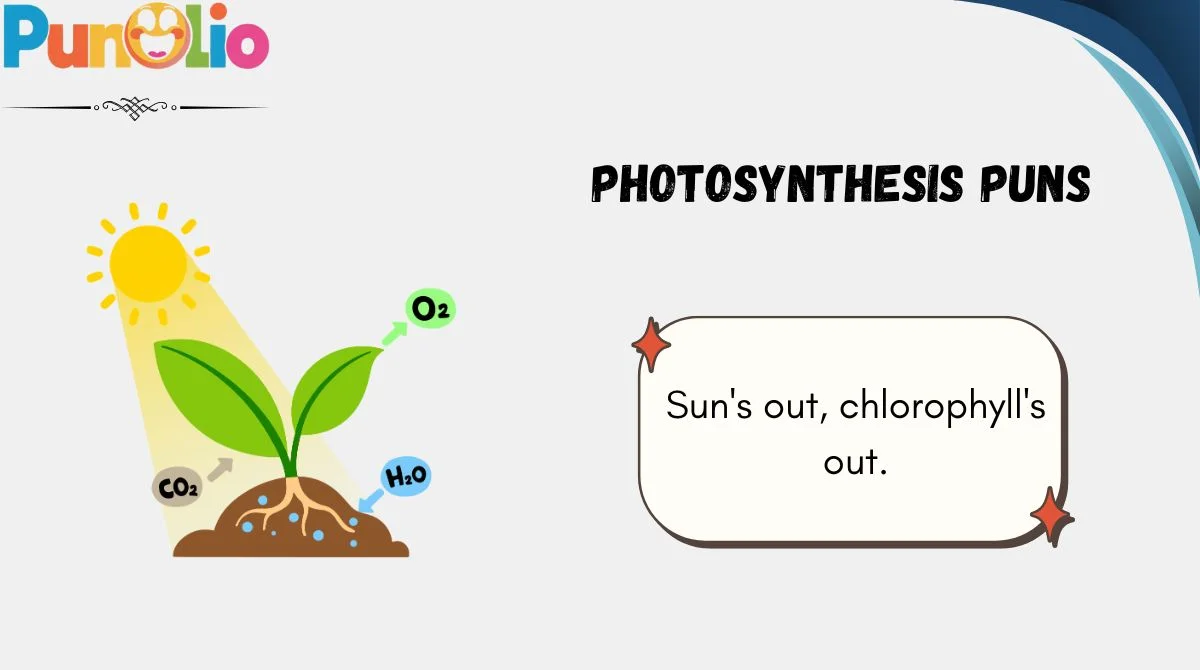 Photosynthesis Puns