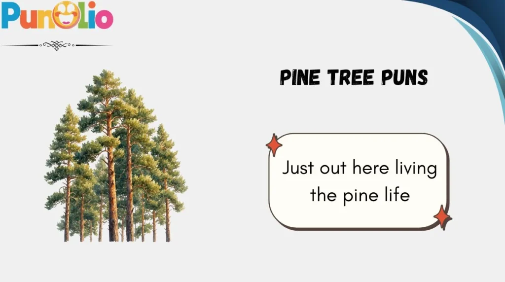 Pine Tree Puns