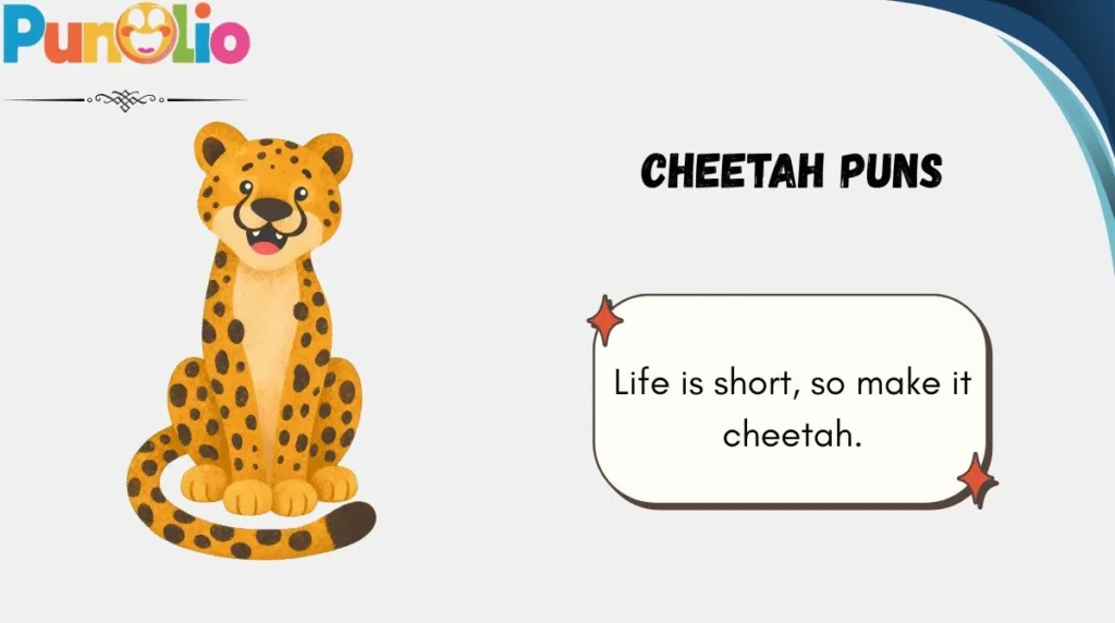 Cheetah Puns
