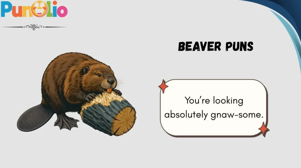Beaver Puns