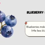 Blueberry Puns