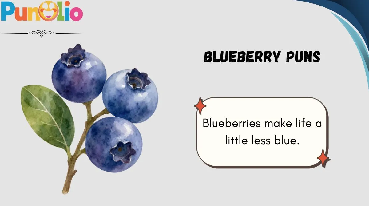 Blueberry Puns