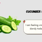 Cucumber Puns
