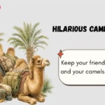 Hilarious Camel Puns