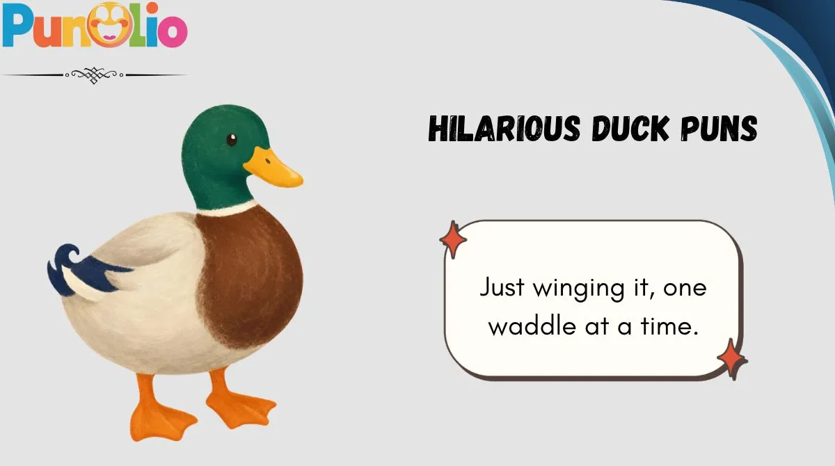 Hilarious Duck Puns