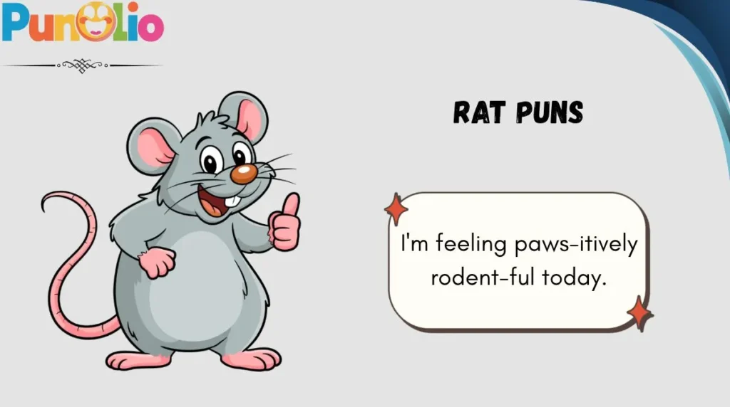 Rat Puns