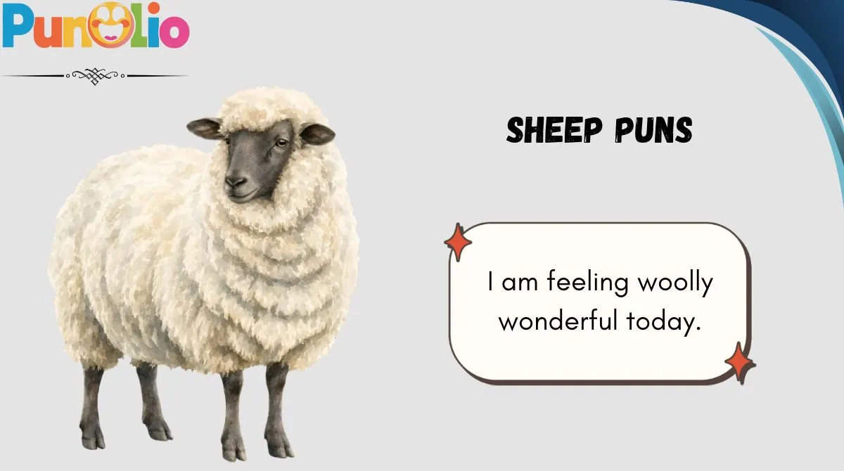 Sheep Puns