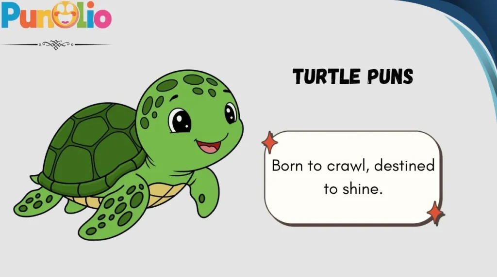Turtle Puns